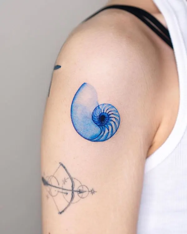 Tatuaje de concha de gasterópodo por @pokhy_tattoo